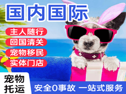 福成航空运输国际宠物托运 【国